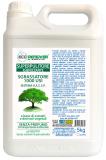02a - SUPERPULITORE VEGETALE SENZA PROFUMO